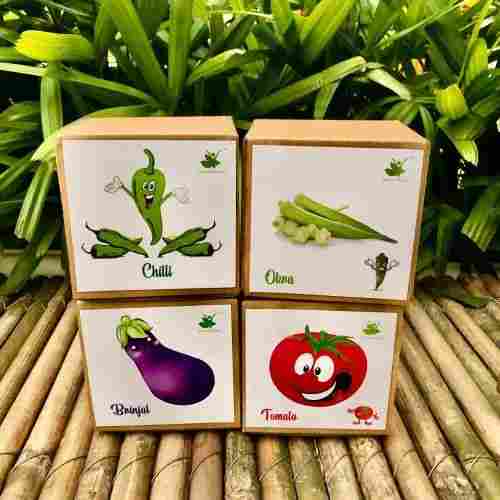 Brinjal Okra Chilli Tomato Vegetable Seed Starter Grow Kits