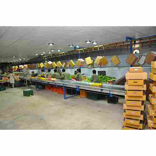 Fruit And Vegetable Processing Plant