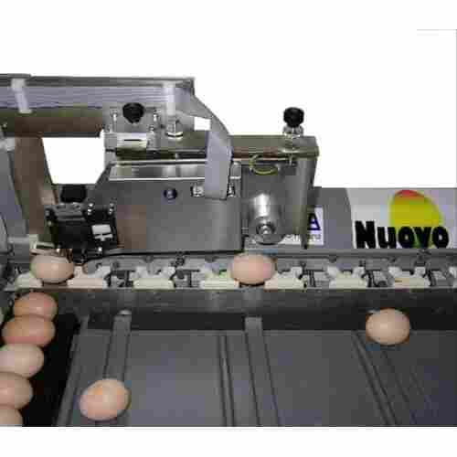 Egg Grading And Printing Machine
