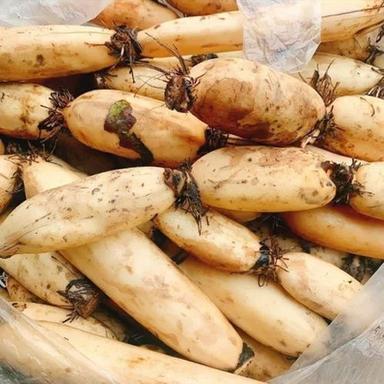 A Grade Lotus Root Preserving Compound: As Per Industry Norms