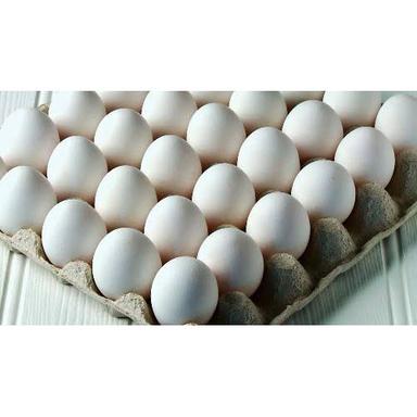 Fresh White Eggs Egg Origin: Chicken