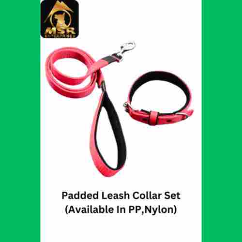 Dog Leash + Collar Padded Set