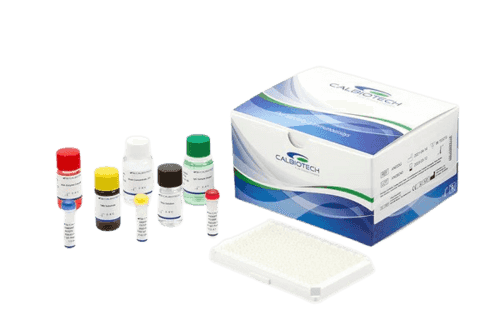 Calbiotech FT4 Elisa Kit - Thryoxine, Free