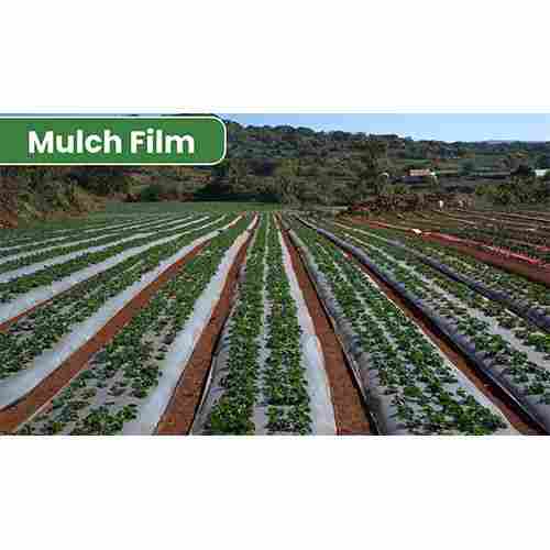 Mulch Film