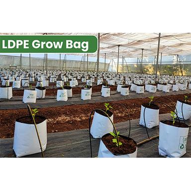 Ldpe Grow Bag Ventilated