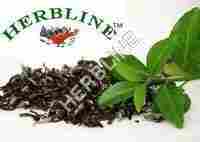 Herbline Pure Green Tea 100% Organic