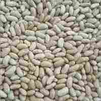 Chitra Beans