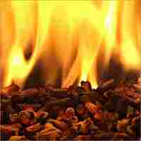 Burning Biomass Pellets