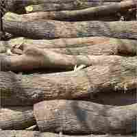 Babool Wood Log