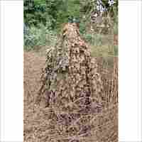 Poncho Ghillie Suit