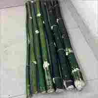 Green Bamboo Pole