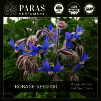 Borage Seed Oil