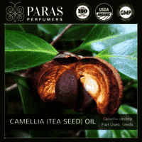 Camellia (Tea Seed) Oil