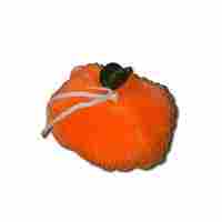 Orange Loofah