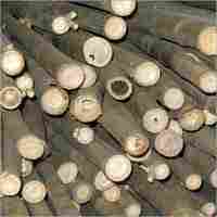 Bamboo Wood Log