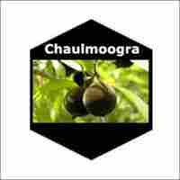 Chaulmoogra Natural Essential Oils