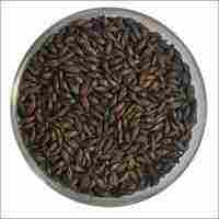 Black Malt Seed