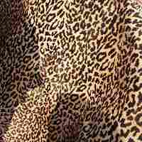 Leopard Printed  Leather