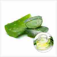 Organic Aloe Vera Extract Powder