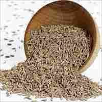 Dry Cumin Seed