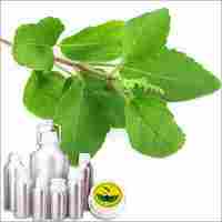 Basil Therapeutic Grade Oil