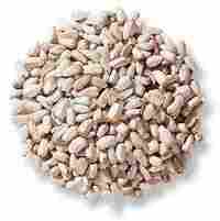 Safflower Seeds For Birdfeed