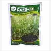 CoFS31 Fodder Sorghum Jowar Seeds