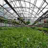Agriculture Greenhouse Consultancy Solution