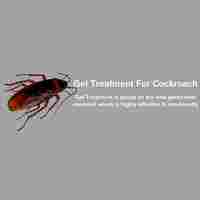 Gel Cockroach  Treatment Services