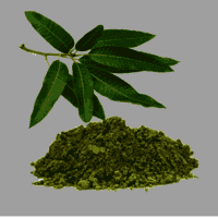 Mango Leaf Powder