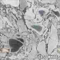 Picaso White Marble
