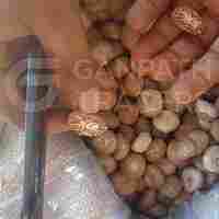 A3 Jam Size Dried Whole Supari/ Areca Nut/ Betel Nut