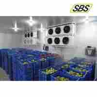 Fruits Cold Storage Services