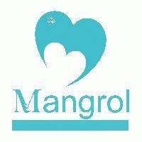 Mangrol Multimedia