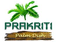 Prakriti Palm Dish