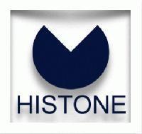 Histone Enterprises