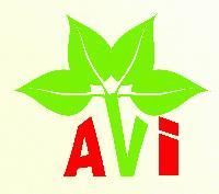 A. V. International
