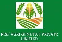RISE AGRI GENETICS PRIVATE LIMITED