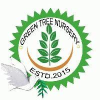 GREEN TREE NURSERY