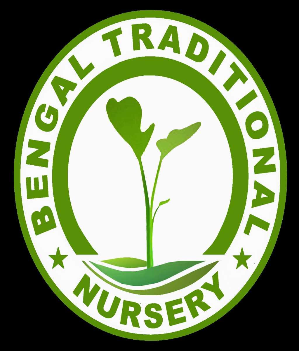 Bengal Traditional Nursery