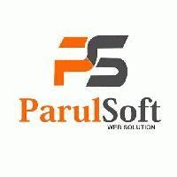 Parulsoft Web Solution