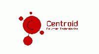 Centroid Polymer Technologies