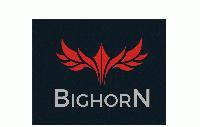 Big Horn Solutions Private Limited