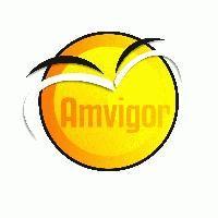 Amvigor Int'l Limited