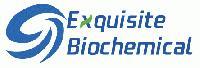 Shanghai Exquisite Biochemical Co Ltd