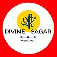 Divine Sagar