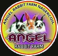 Angel Rabbit farm