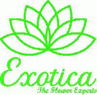 Exotica - The Flower Experts