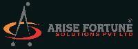 Arise Fortune Solutions Pvt. Ltd.