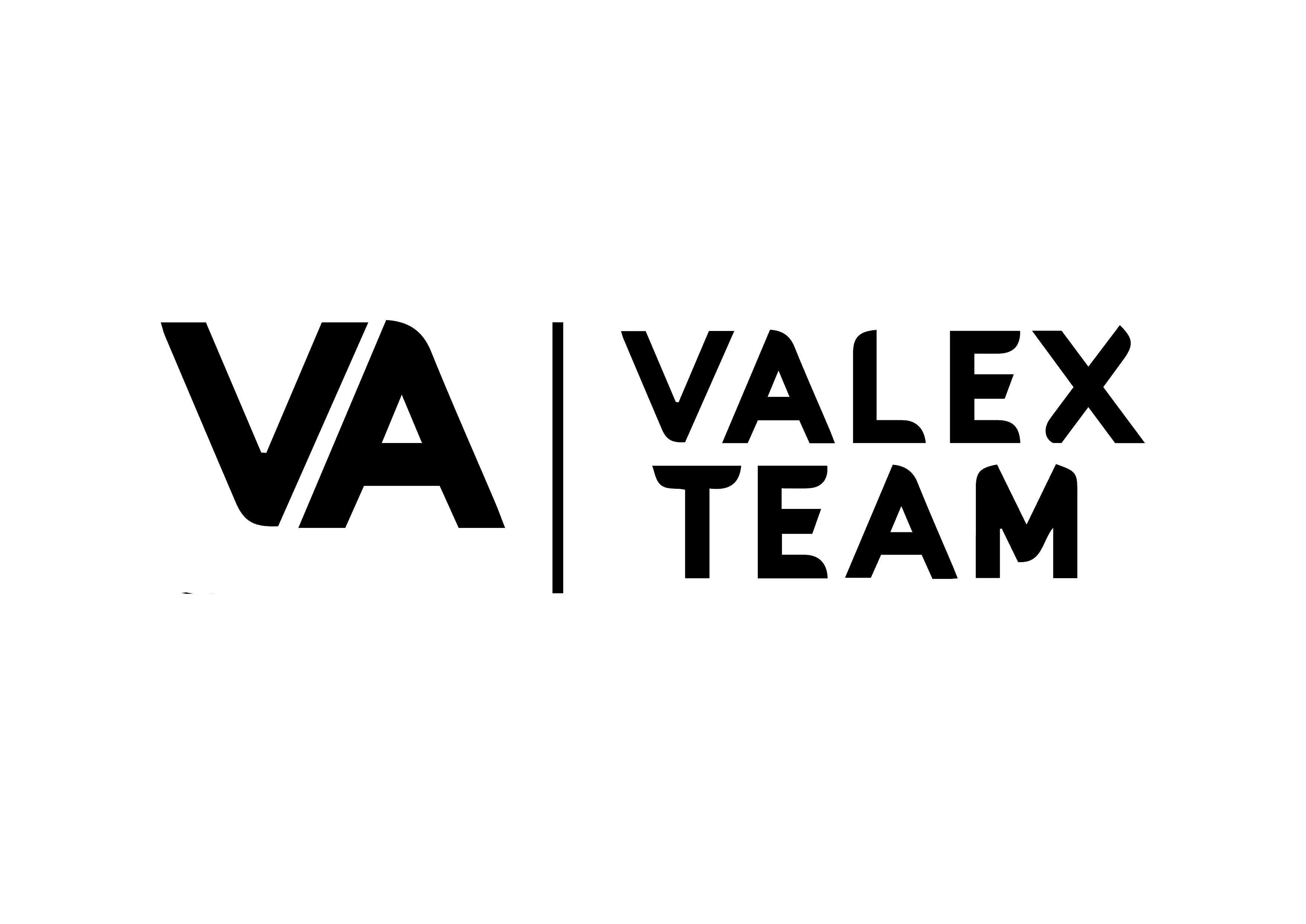 Valex Team
